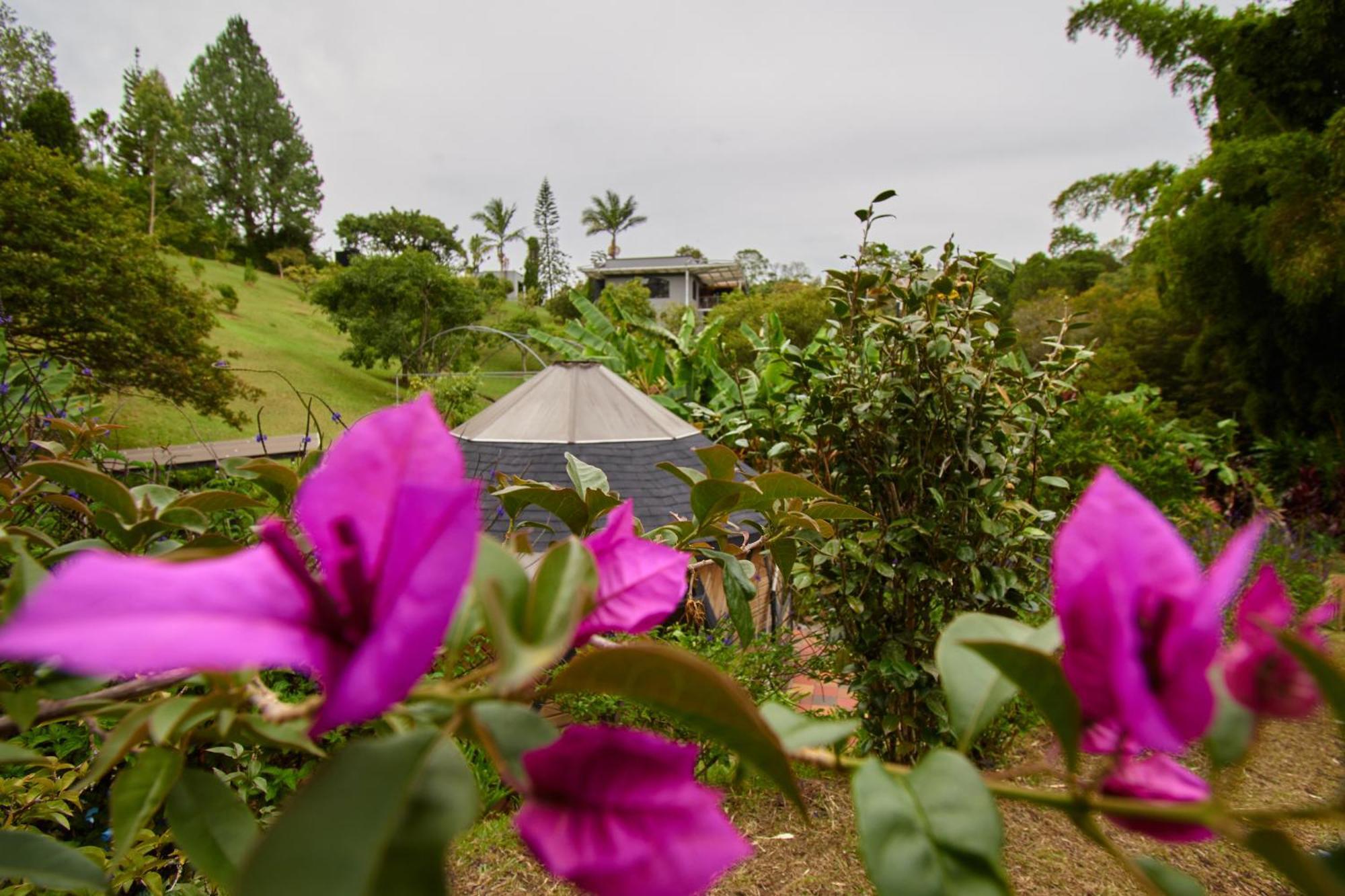 Kokumi By Bernalo Hotels Rionegro Kültér fotó